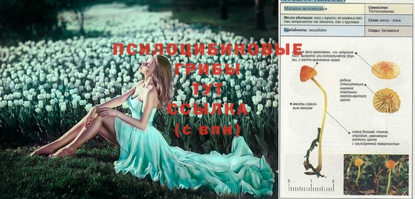 герыч Нефтекумск