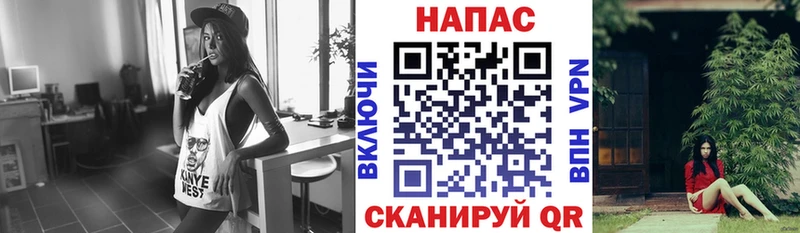 где найти наркотики  Курчатов  Бошки Шишки Amnesia 